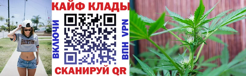 Все наркотики Нижний Новгород A-PVP  Бошки Шишки  КОКАИН  Меф  АМФ  Галлюциногенные грибы  Гашиш 