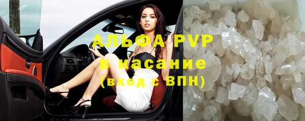 ПСИЛОЦИБИНОВЫЕ ГРИБЫ Богданович