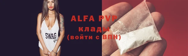 ПСИЛОЦИБИНОВЫЕ ГРИБЫ Богданович