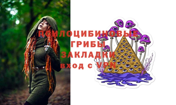 ПСИЛОЦИБИНОВЫЕ ГРИБЫ Богданович