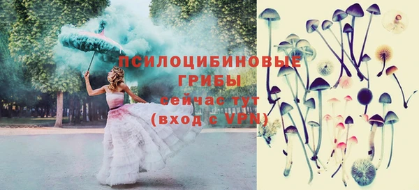 ПСИЛОЦИБИНОВЫЕ ГРИБЫ Богданович
