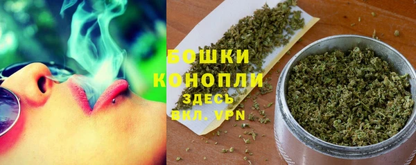 ПСИЛОЦИБИНОВЫЕ ГРИБЫ Богданович