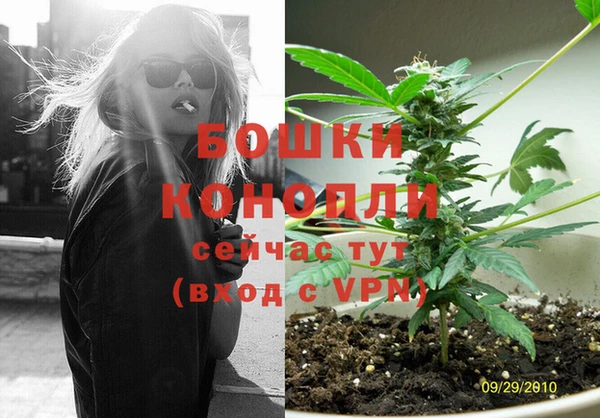 ПСИЛОЦИБИНОВЫЕ ГРИБЫ Богородск