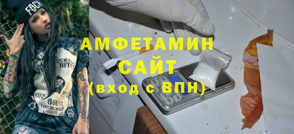 ПСИЛОЦИБИНОВЫЕ ГРИБЫ Богданович